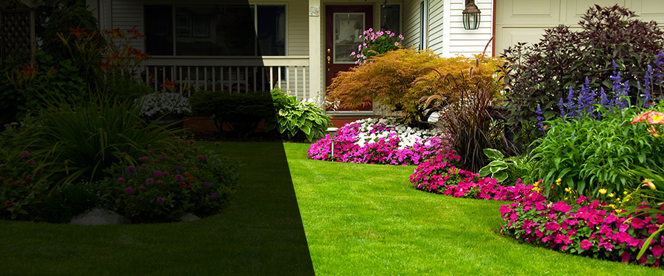Statesville Landscapers