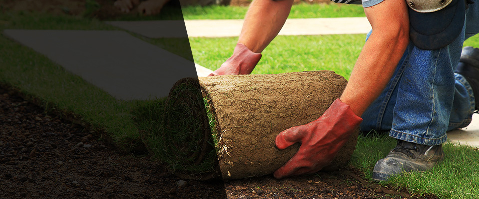 Statesville Landscapers